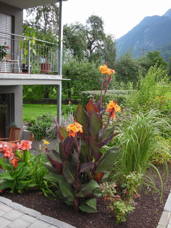 Apartment Bachmann Bludenz Exteriör bild